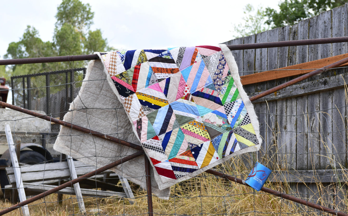Vintage Quilt on Felted Bison