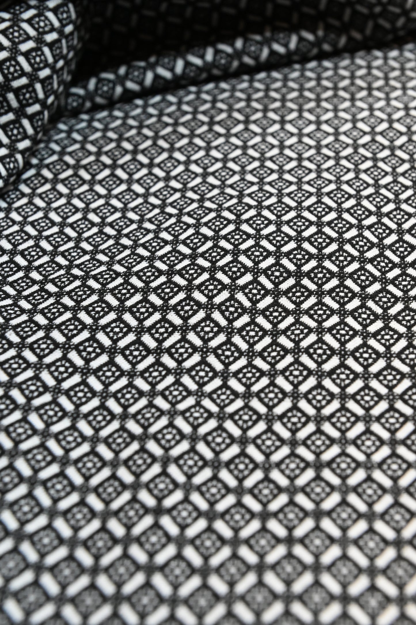 Raven Appliquéd Wool Vest with Bison Trim