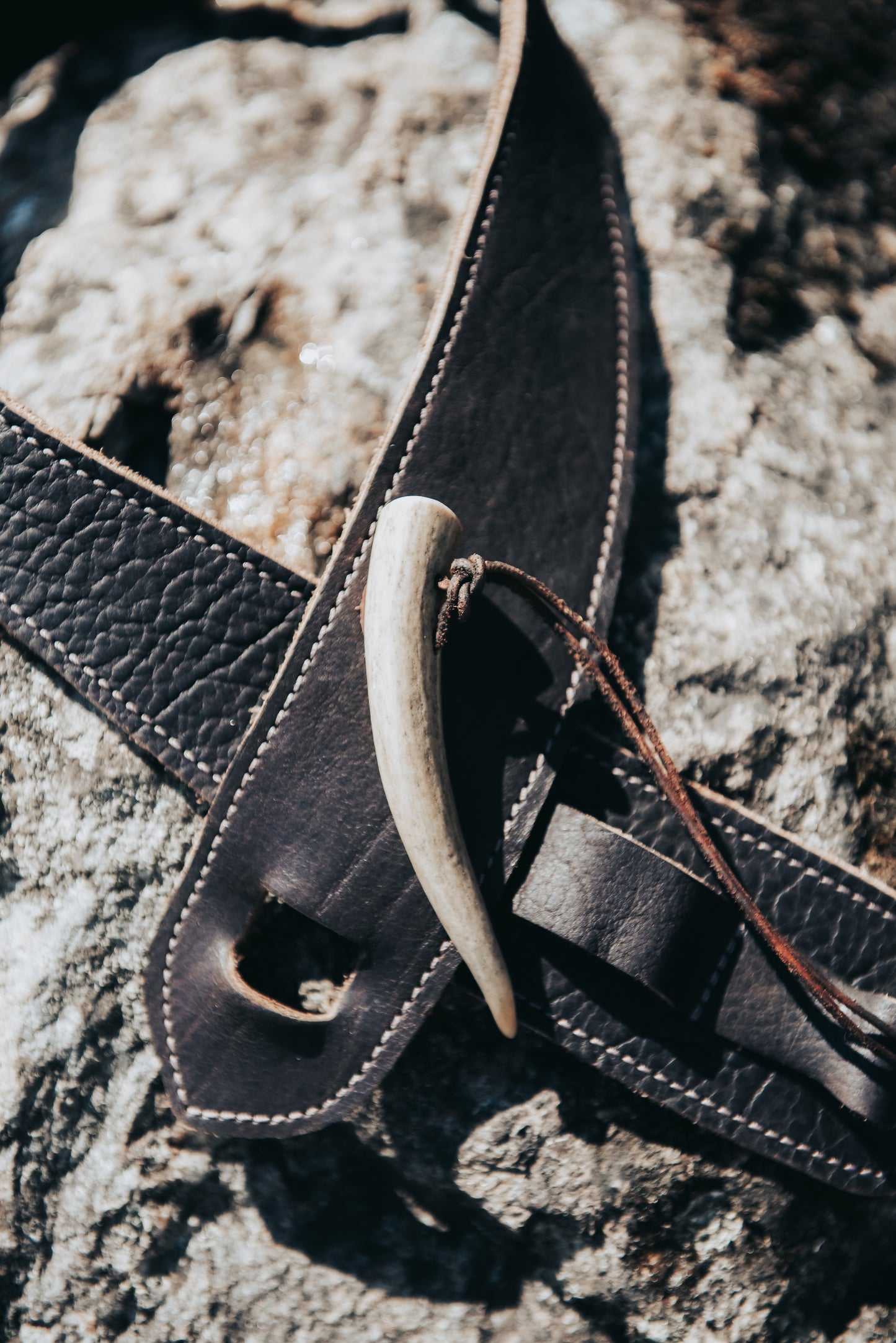 Big Timber Bison Belt