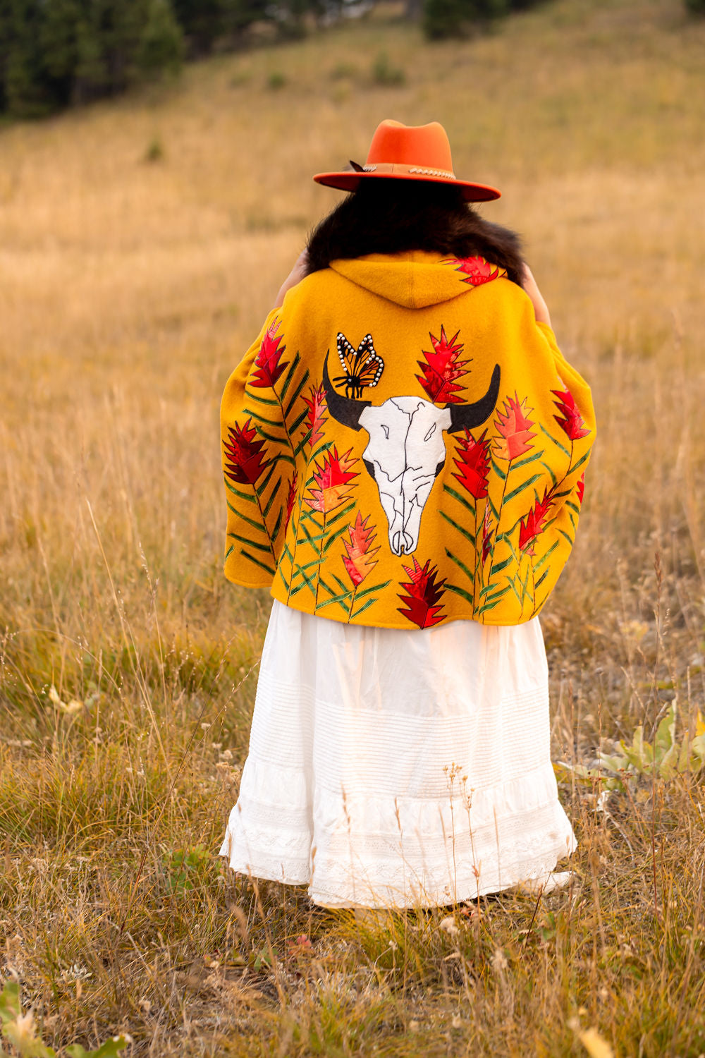 Indian Paintbrush Meadow & Bison Skull